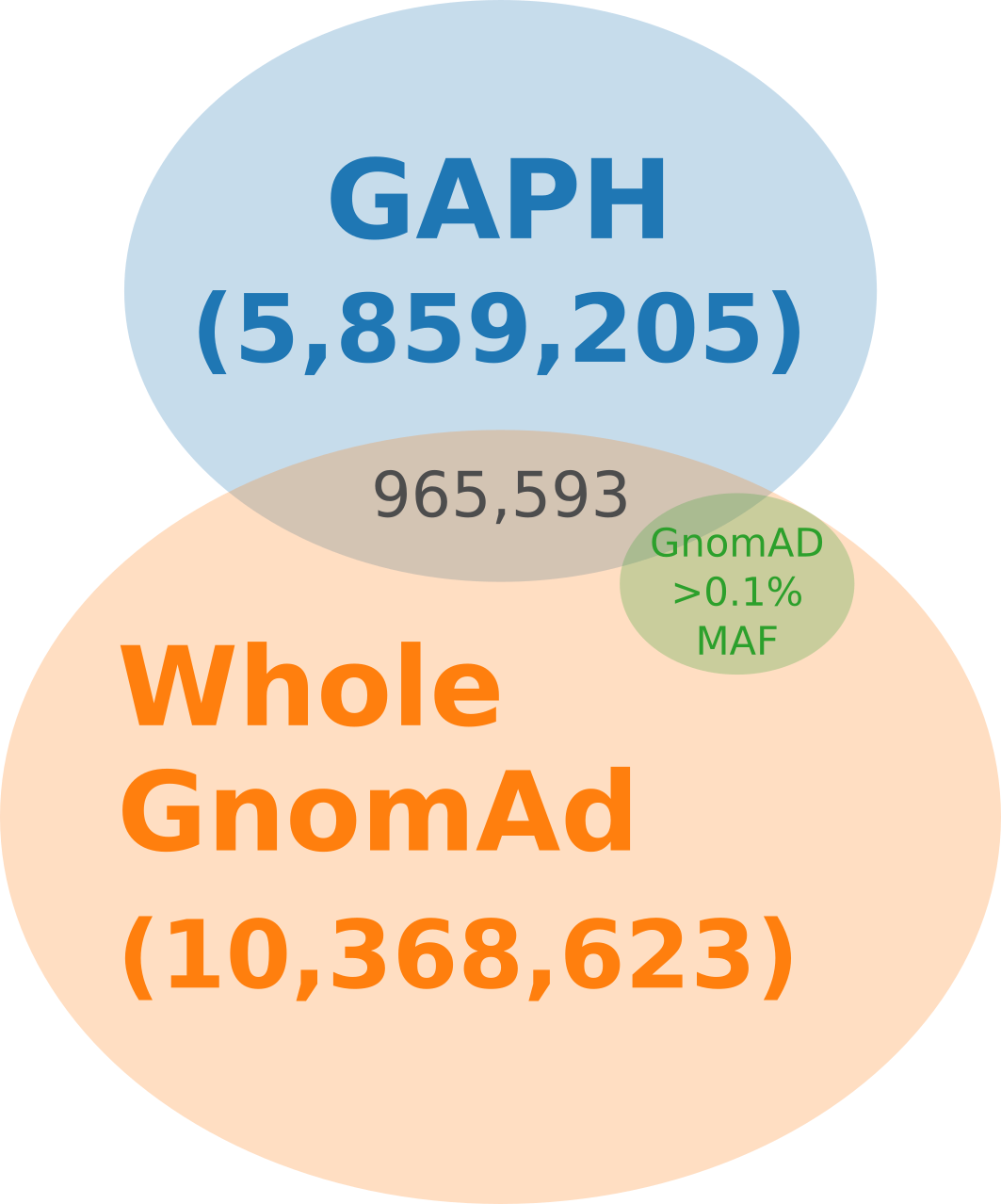 Venn diagram illustrating the overlap between GAPH-resulted set, variants found in GnomAD v3.1.2, and subset of GnomAD variants with minor allele frequency (MAF) > 0.1%.