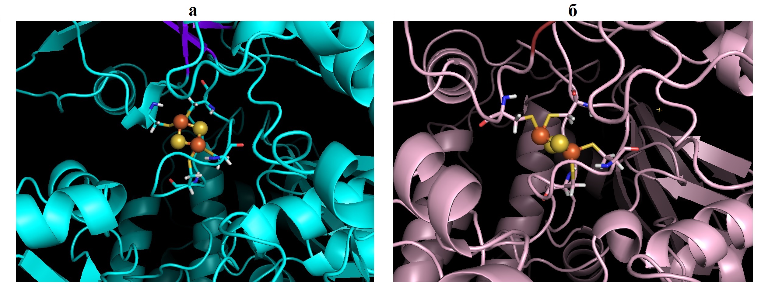 Структура 2Fe-2S кластера нативной субъединицы SDHB (а) и субъединицы c мутацией p.M103V (б)