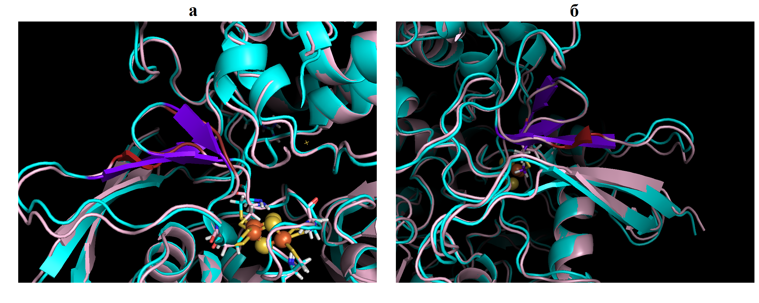 Сравнение структуры нативной субъединицы SDHB и субъединицы c мутацией p.M103V