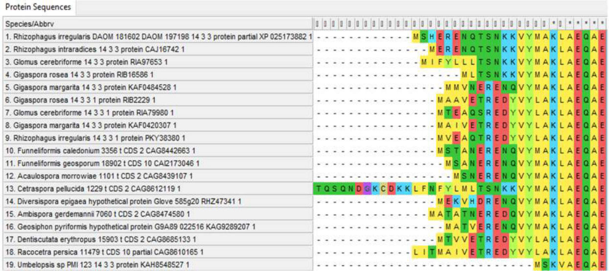 N-terminal regions of 14-3-3 proteins