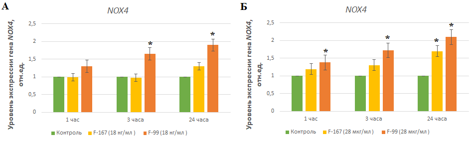 Уровень белка NOX4 в клетках ФЛЭЧ при инкубации с фуллеренами F-167 и F-99 в концентрации 18 нг/мл (А) и 28 мкг/мл (Б) и к контролю от времени