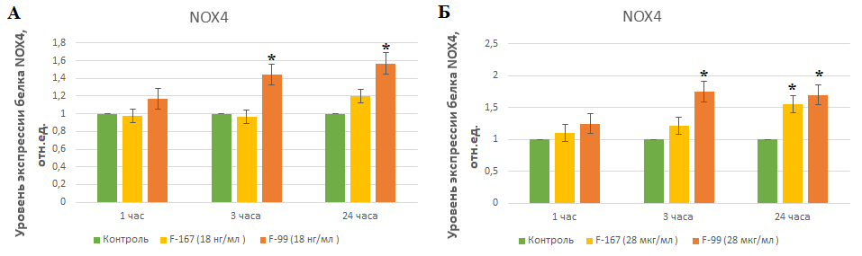 Уровень экспрессии гена NOX4 в клетках ФЛЭЧ при инкубации с фуллеренами F-167 и F-99 в концентрации 18 нг/мл (А) и 28 мкг/мл (Б) и к контролю от времени