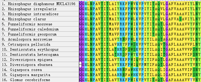 N-terminus of AQPF2 alignment