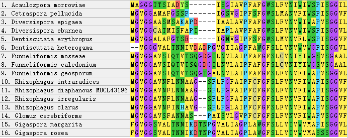 N-terminus of AQPF1 alignment