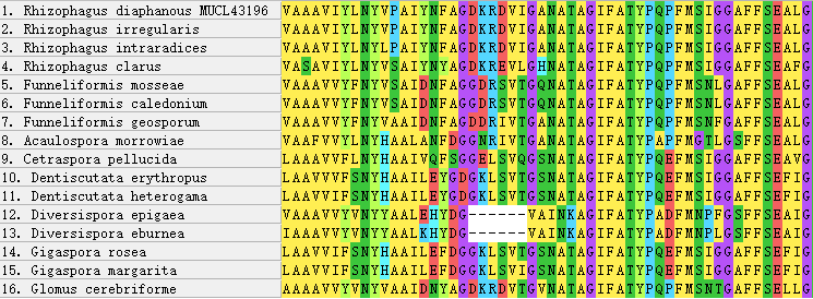Internal Deletion Region in the alignment of AQPF2 Protein