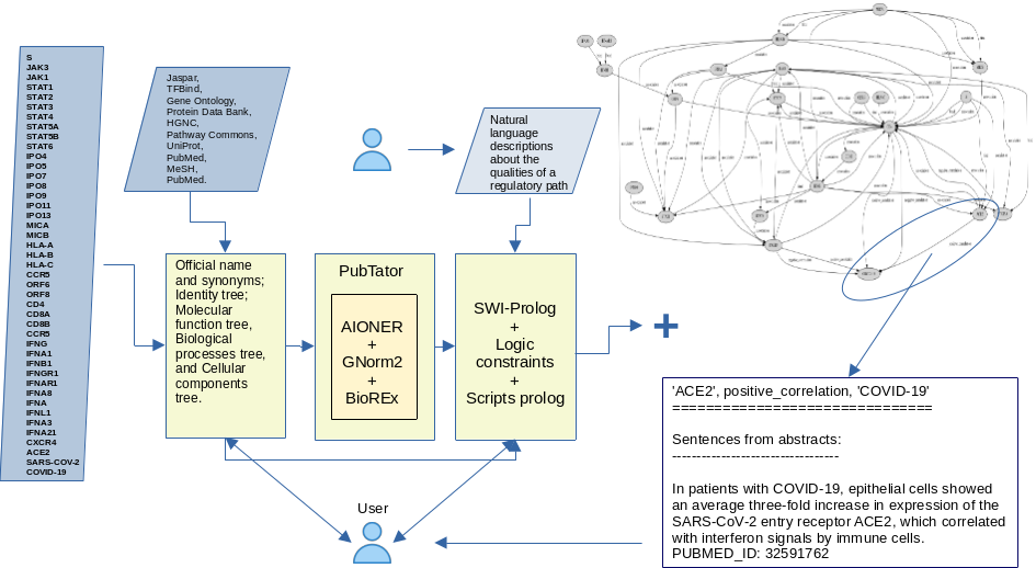 A schematic view of the modeling and type of results for COVID-19