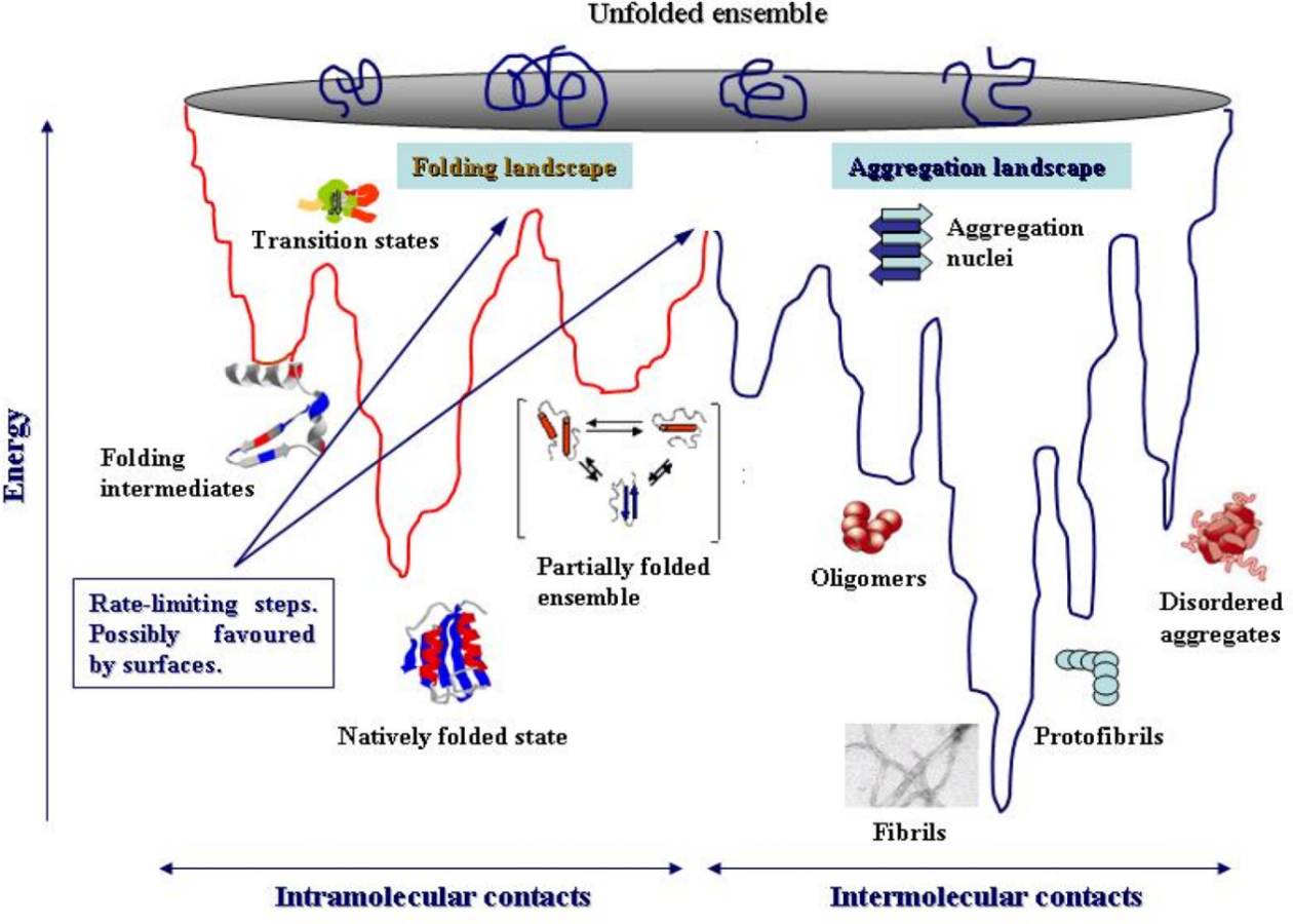 The Protein Folding Energy
