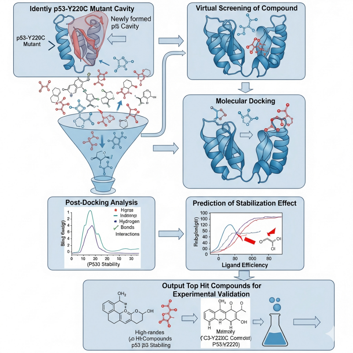 Workflow for Computational Design of p53 Stabilizers
