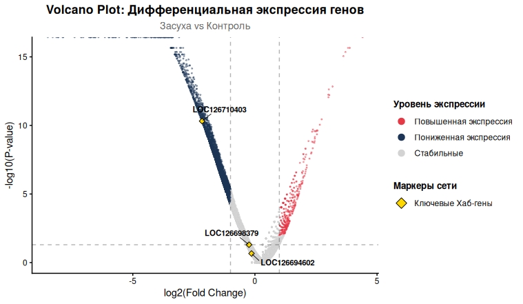 На графике Volcano plot представлена статистическая оценка транскрипционного ответа