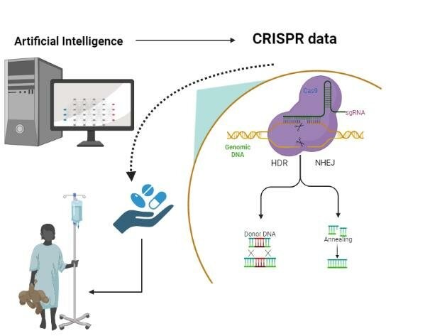  Illustration of CRISPR gene editing workflow and its biological impact