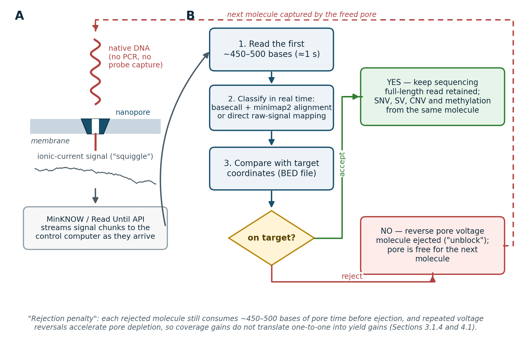 The Adaptive Sampling (Read Until) decision loop